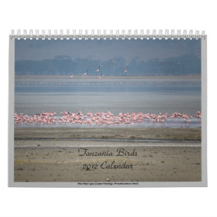 Wild Birds of Tanzania Calendar