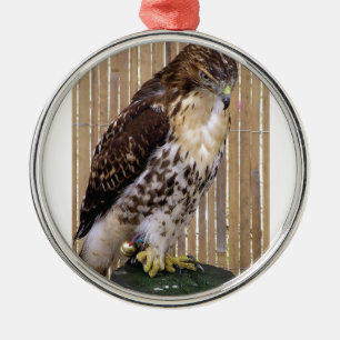 Wild Birds: Red-Tailed Hawk Metal Tree Decoration