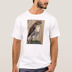 Wild Birds: Red-Tailed Hawk T-Shirt