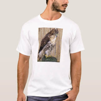 Wild Birds: Red-Tailed Hawk T-Shirt