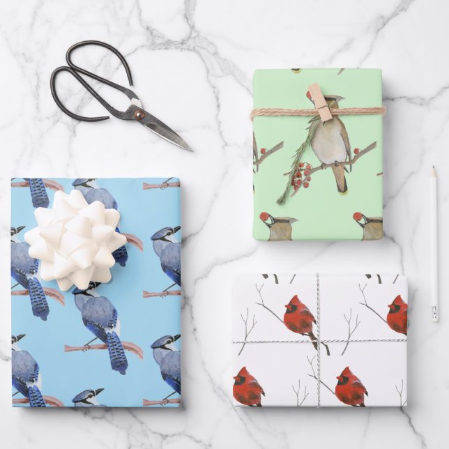 Wild Birds Wrapping Paper Sheet (Front)