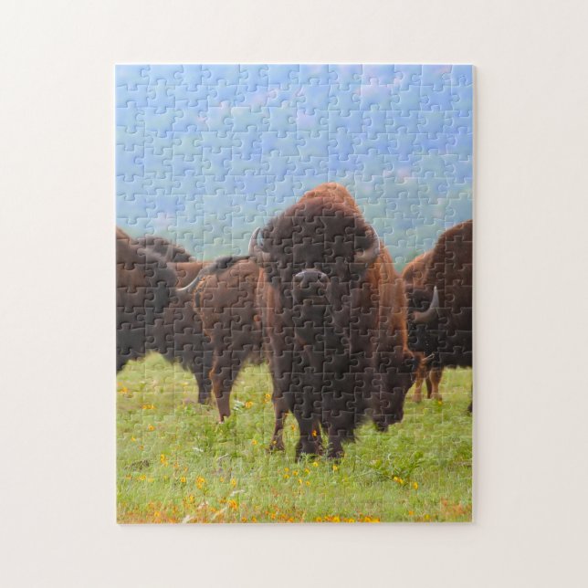 Wild Bison Oklahoma. Jigsaw Puzzle (Vertical)