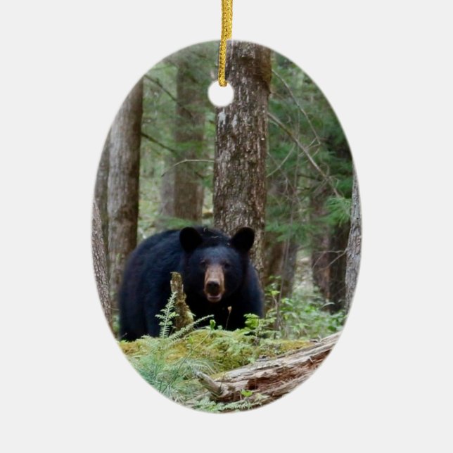 Wild Black Bear Ceramic Ornament (Front)