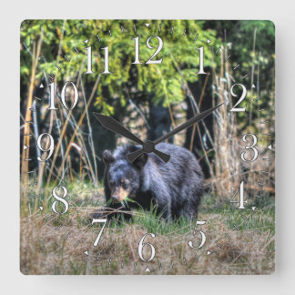 Wild Black Bear Cub & Forest Wildlife Photo Clock