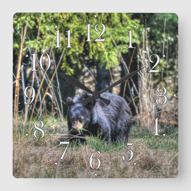 Wild Black Bear Cub & Forest Wildlife Photo Clock (Front)