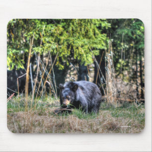 Wild Black Bear Cub & Forest Wildlife Photo #Gift Mouse Pad