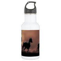 Wild black beauty horses