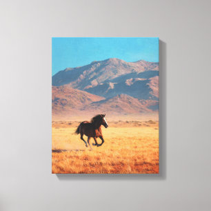 Wild Black Horse Bright Desert Art Canvas Print