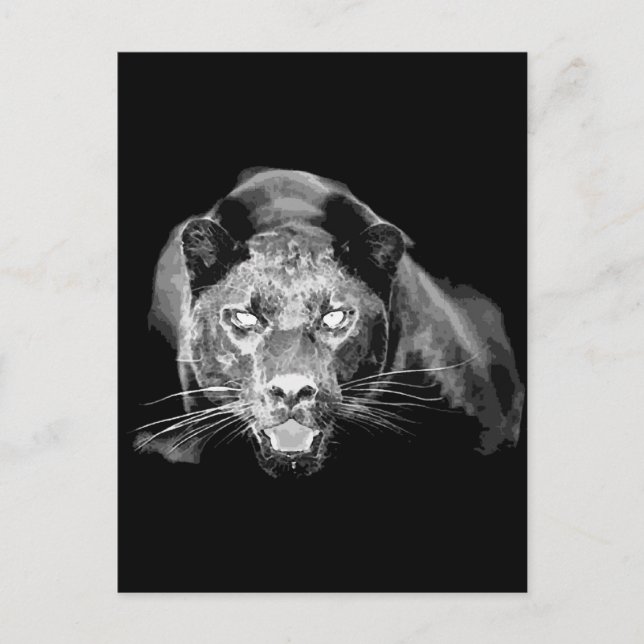 Wild Black Jaguar Cat Eyes Postcard (Front)