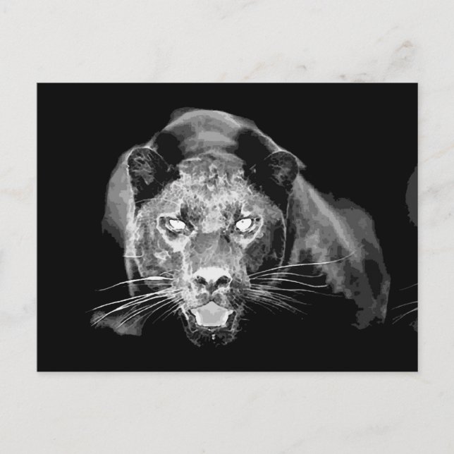 Wild Black Jaguar Cat Eyes Postcards (Front)