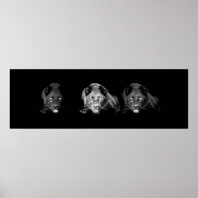 Wild Black Jaguar Cat Eyes Poster (Front)
