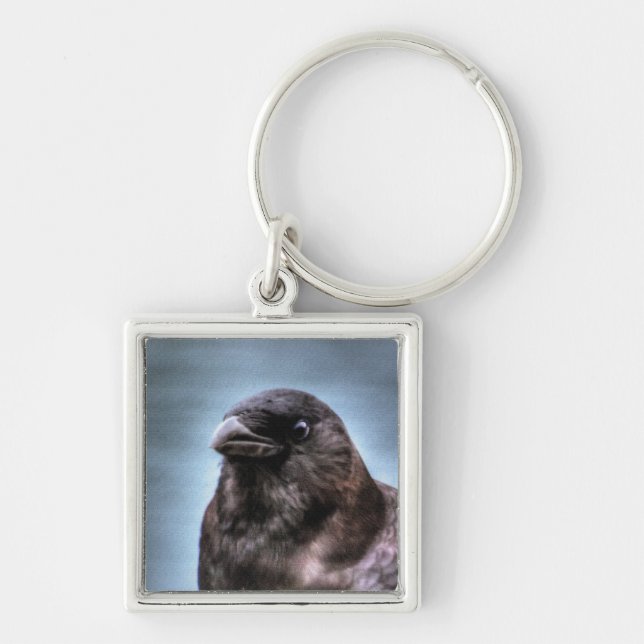 Wild Black Raven Crow-lovers #Gift Key Ring (Front)