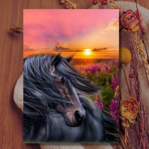Wild Black Stallion Mustang Horse Fantasy Card
