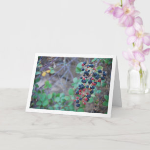 Wild Blackberry Fruit Card