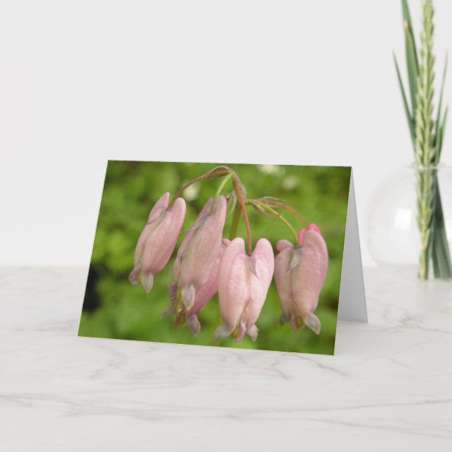 Wild Bleeding Hearts I'm Sorry Card (Front)