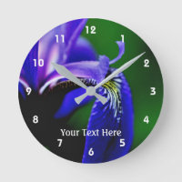 Wild Blue Flag Iris Flower Petal Nature