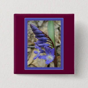 Wild Blue Hyacinth 15 Cm Square Badge