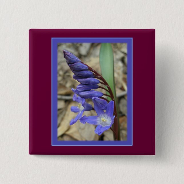 Wild Blue Hyacinth 15 Cm Square Badge (Front)