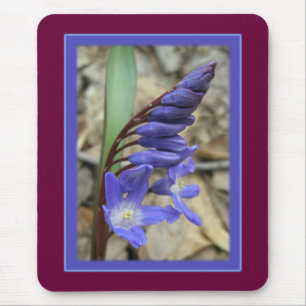 Wild Blue Hyacinth Mouse Pad