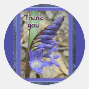 Wild Blue Hyacinth Thank You Classic Round Sticker