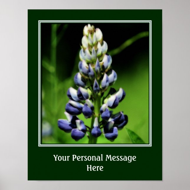 Wild Blue Lupine Flower Personalised Poster (Front)