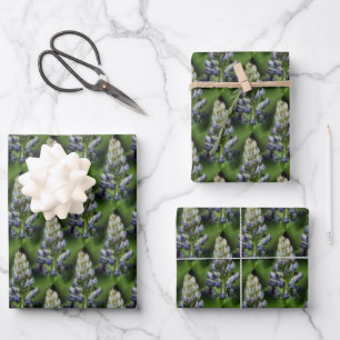 Wild Blue Lupine Flowers Nature Pattern  Wrapping Paper Sheet