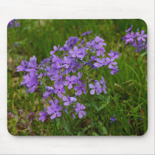 Wild Blue Phlox Mouse Pad