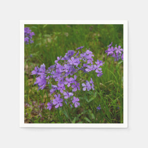 Wild Blue Phlox Napkin