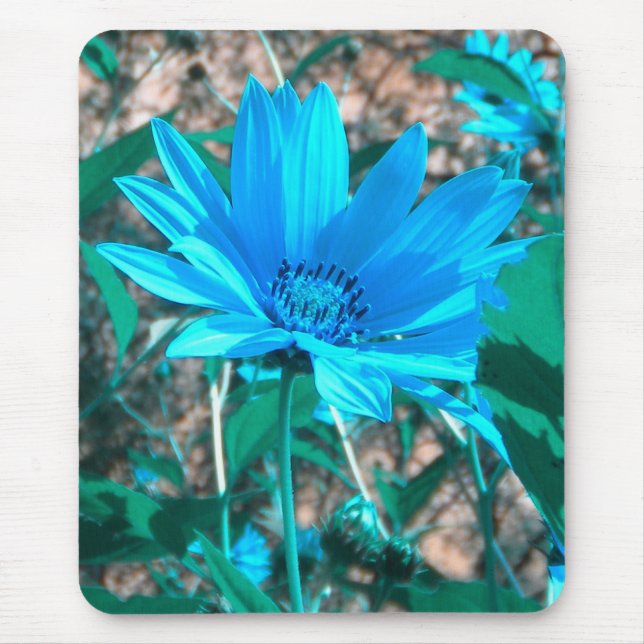 Wild Blue Sunflower Mousepad (Front)