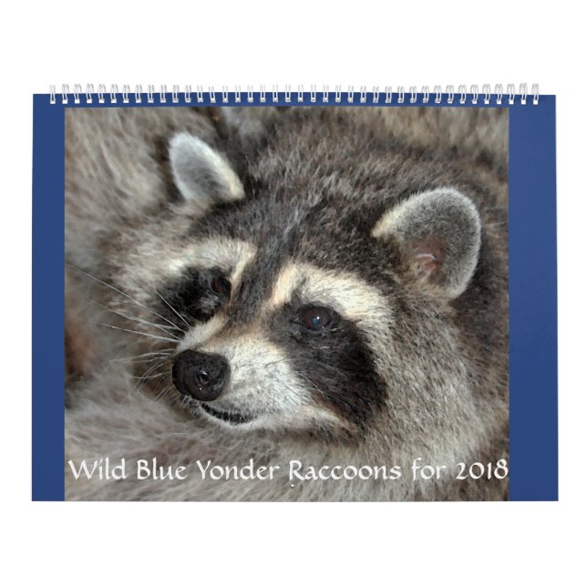 Wild Blue Yonder Raccoons of 2018 Calendar (Cover)