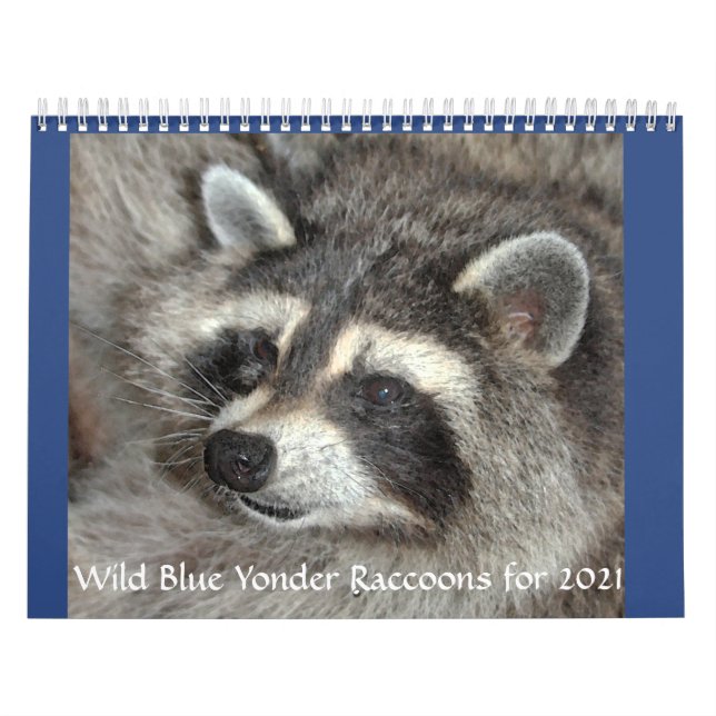 Wild Blue Yonder Raccoons of 2021 Calendar (Cover)