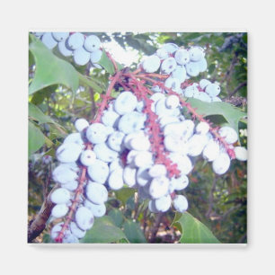 Wild Blueberries Magnet