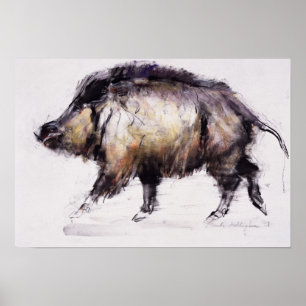 Wild Boar 1999 Poster