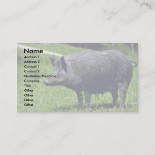 Wild Boar Business Card