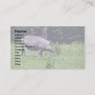 Wild Boar Business Card