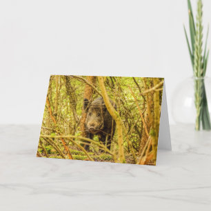 Wild Boar Card