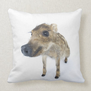 Wild boar cushion