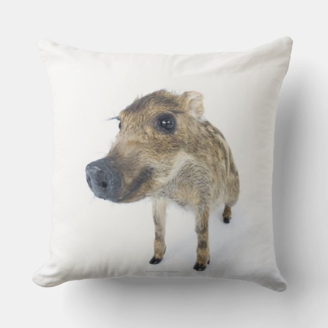 Wild boar cushion (Front)