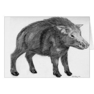 Wild Boar, Defensive Stance