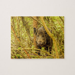 Wild Boar Jigsaw Puzzle