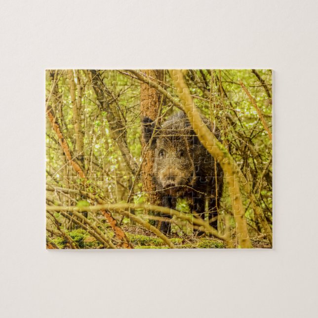 Wild Boar Jigsaw Puzzle (Horizontal)