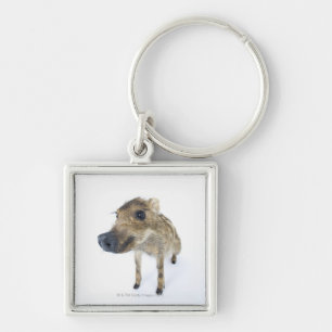 Wild boar key ring