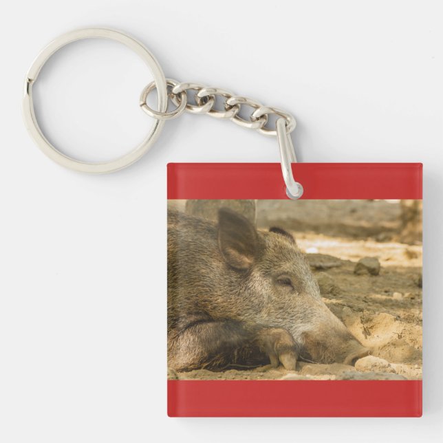 wild boar on Square (double-sided) Keychain (Front)