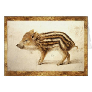 WILD BOAR PIGLET Animal Drawing