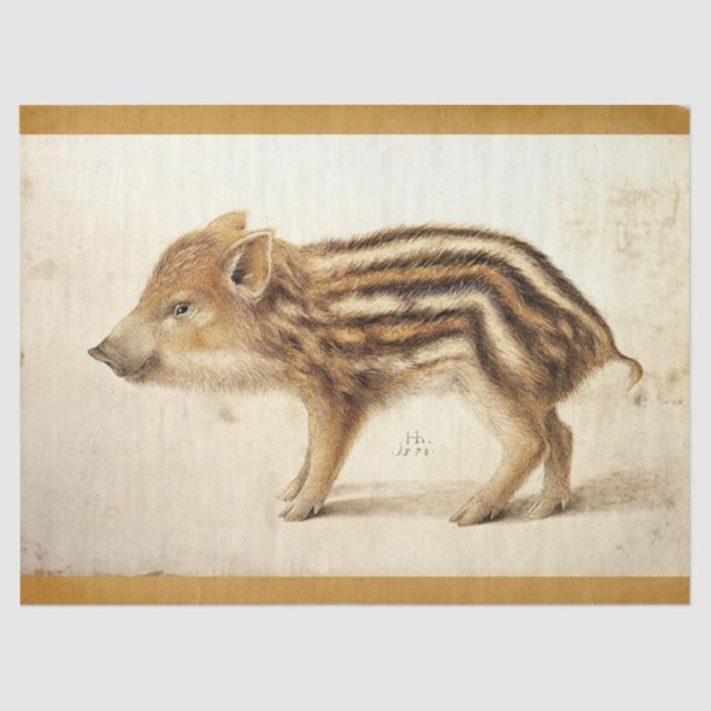WILD BOAR PIGLET Antique Animal Drawing Parchment  Tissue Paper (Front)