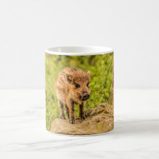 Wild Boar Piglet Coffee Mug