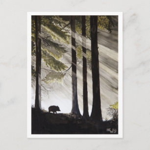Wild Boar Postcard