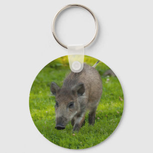 wild boar search for love key ring