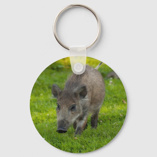 wild boar search for love key ring (Front)