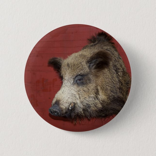 Wild Boar Trophy 6 Cm Round Badge (Front)